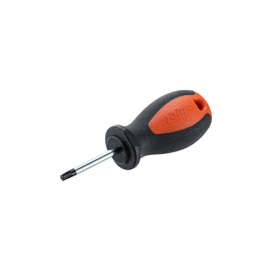 Chave Torx pequena - T20